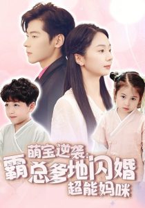萌宝逆袭：霸总爹地闪婚超能妈咪