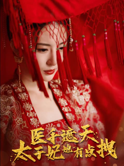 医手遮天，太子妃有点拽