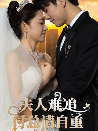 夫人难追，付总请自重