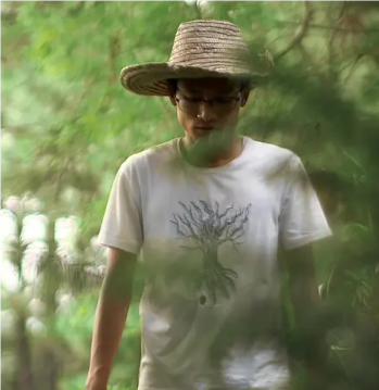 云山雨野的回响