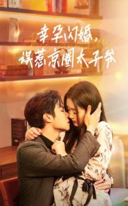 幸孕闪婚，误惹京圈太子爷