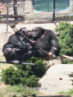 万物可爱：动物园的小故事