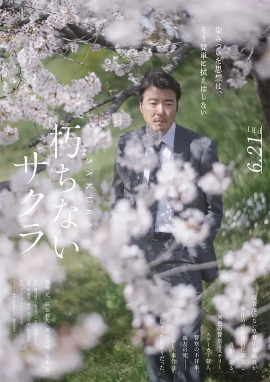 永不腐朽的樱花