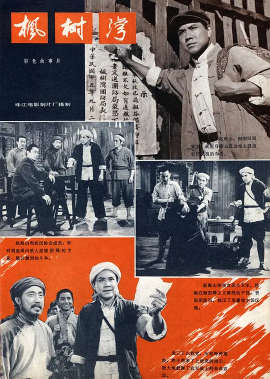 枫树湾的烽火岁月