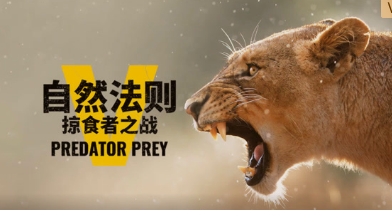 自然法则：掠食者之战