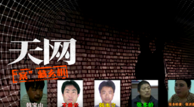 天网：“案”藏玄机