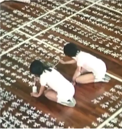 学霸小姐的秘密任务
